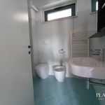 Affitto 1 camera appartamento di 45 m² in L'Aquila