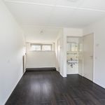 Huur 3 slaapkamer huis van 219 m² in Rozendaal