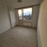 Rent 3 bedroom apartment of 115 m² in Spijkenisse