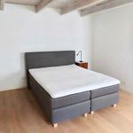Rent 1 bedroom apartment of 50 m² in 's-Gravenhage
