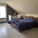 Rent 4 bedroom house in Kortemark