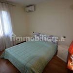 Affitto 5 camera casa di 240 m² in Rosignano Marittimo