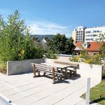 Rent 3 bedroom apartment of 52 m² in Graz