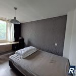 Rent a room of 15 m² in Oss