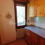 Rent 5 bedroom apartment of 90 m² in Cortina d'Ampezzo