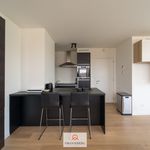 Appartement de 238 m² avec 3 chambre(s) en location à Gent