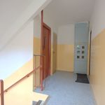 Pronajměte si 4 ložnic/e byt o rozloze 79 m² v Litvinov