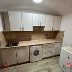 Rent 1 bedroom apartment in Opava