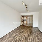 Rent 2 bedroom apartment of 73 m² in Smržovka