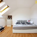 Rent 1 bedroom house of 193 m² in Praha