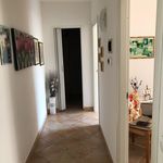 Rent 3 bedroom apartment of 50 m² in Pontedera