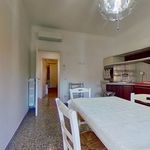 Rent 3 bedroom apartment of 105 m² in rome