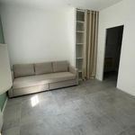 Rent 1 bedroom apartment of 25 m² in Saint Etienne