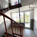 Rent 1 bedroom apartment of 48 m² in Bor