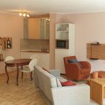 Rent 1 bedroom apartment of 50 m² in Mainz