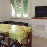 Rent 2 bedroom apartment of 60 m² in Castagneto Carducci