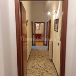 Rent 5 bedroom apartment of 126 m² in Prato