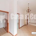 Affitto 3 camera appartamento di 120 m² in Monterotondo