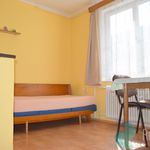 Rent 2 bedroom apartment of 47 m² in Růžová