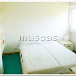 Rent 3 bedroom apartment of 55 m² in Fiumicino