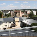 Miete 2 Schlafzimmer wohnung von 50 m² in Chemnitz