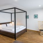 Rent 2 bedroom apartment of 31 m² in Heidelberg