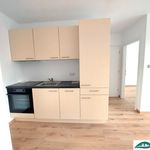 Rent 2 bedroom apartment of 37 m² in Hollabrunn