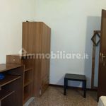 Rent 4 bedroom apartment of 60 m² in Pisa