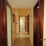 Affitto 4 camera appartamento di 120 m² in Brindisi