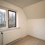 Rent 4 bedroom house in De Wilp