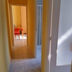 Rent 1 bedroom apartment of 90 m² in Elche