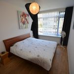 Rent 3 bedroom apartment in Delft