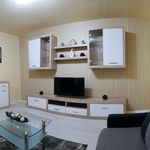 Rent 3 bedroom apartment of 59 m² in Brno