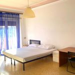 Rent 6 bedroom apartment in Roma