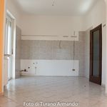 Rent 4 bedroom apartment of 86 m² in Milano