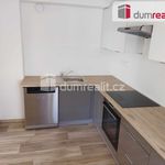Rent 3 bedroom apartment of 62 m² in Vlašim