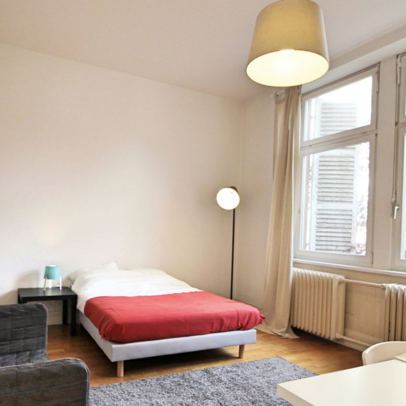 Spacious and cosy room  22m² Strasbourg