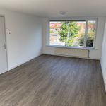 Rent 1 bedroom apartment of 55 m² in Tilburg