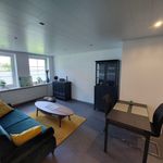 Cozy, freshly renovated short-term apartment in Marsberg-Oesdorf
