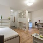 Miete 1 Schlafzimmer wohnung von 20 m² in Wiener Neustadt