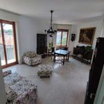 Affitto 1 camera appartamento in Cusano Milanino