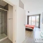 Rent 1 bedroom apartment of 56 m² in Saint-Josse-ten-Noode