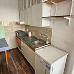 Rent 2 bedroom apartment of 46 m² in Píšťany