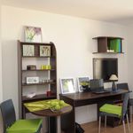 Rent 1 bedroom apartment of 16 m² in Villeurbanne