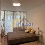 Rent 4 bedroom apartment of 90 m² in Novi Zagreb-istok