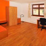 Rent 1 bedroom apartment of 38 m² in Prague