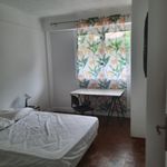Rent a room of 72 m² in Nice