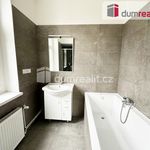 Rent 4 bedroom apartment of 140 m² in Teplice