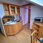 Rent 1 bedroom apartment of 22 m² in Gramastetten