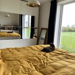 Rent 4 bedroom house of 176 m² in Wingene